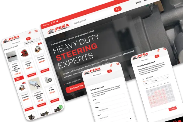Pena Power Steering