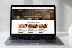 Professional website design and development by 911MyWeb