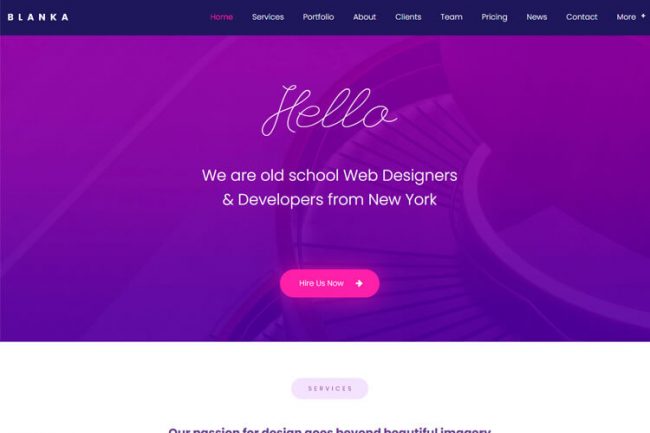 Single Website Development - 911MYWEB Ecommerce Website development, Miami Design, Web Design » Web Designing